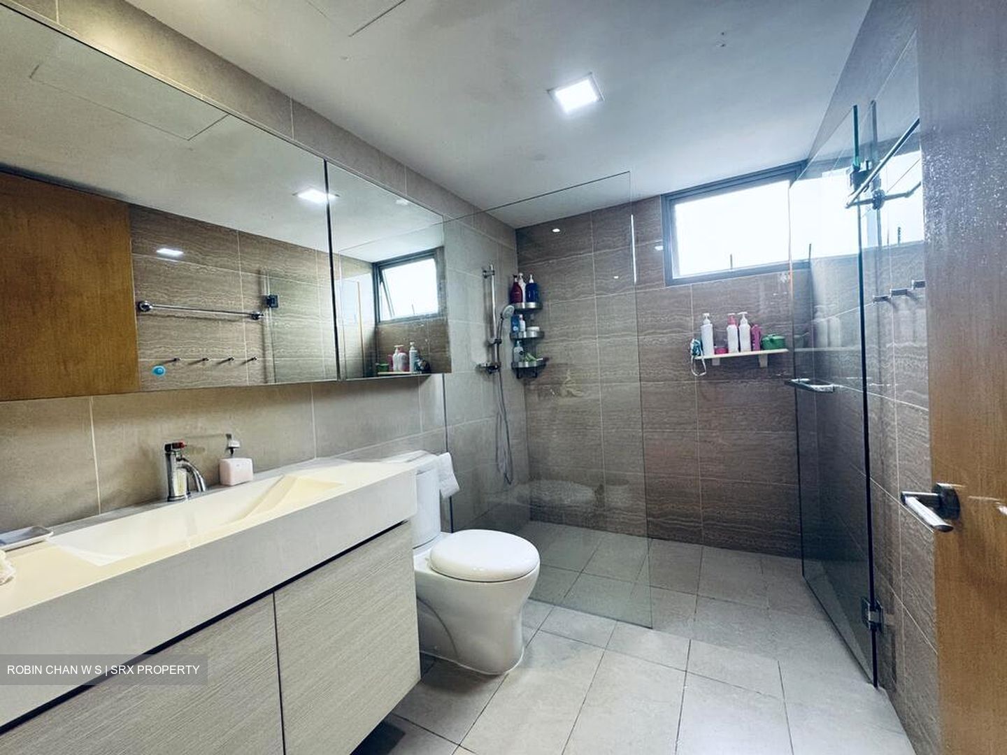 A Treasure Trove (D19), Condominium #505128651